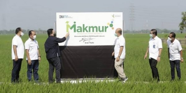 Terbukti Tingkatkan Kesejahteraan Petani, Program Makmur Erick Tohir Diapresiasi