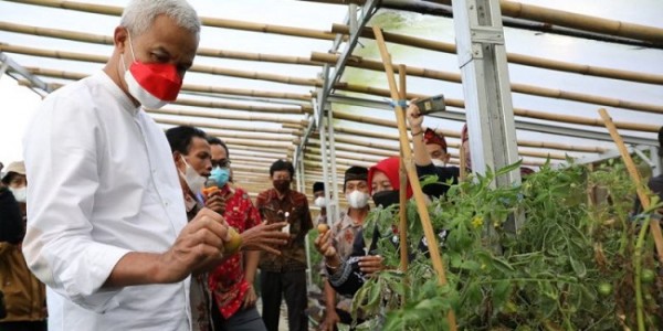 Ganjar Serukan Model Pertanian Organik Agar Petani Maju dan Warga Sehat