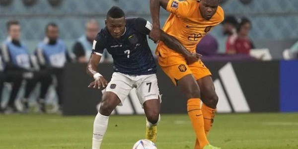 Peluang Timnas Belanda dan Ekuador ke 16 Besar Terbuka Lebar