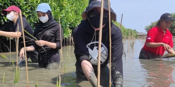Pelestarian Wilayah Pesisir Muara Gembong dengan Menanam Mangrove