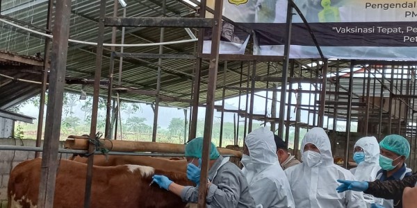 Tahun Ini, Pemprov Jateng Targetkan Vaksin 2,4 Juta Ternak