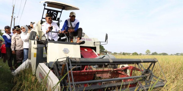 Pemkab: Produksi Padi di Kabupaten Bekasi Terbesar ke 7 di Jawa Barat