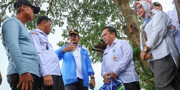Tinjau Sawah yang Banjir, Mentan Bakal Lakukan Tiga Langkah Penanganan 