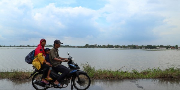 Distan Bekasi Distribusikan Ratusan Kilo Bibit Padi ke Petani Terdampak Banjir