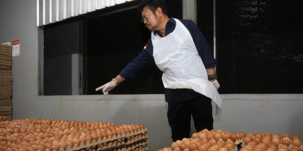 Pantau Ketersedian Telur, Mentan Pastikan Kebutuhan Lebaran Aman