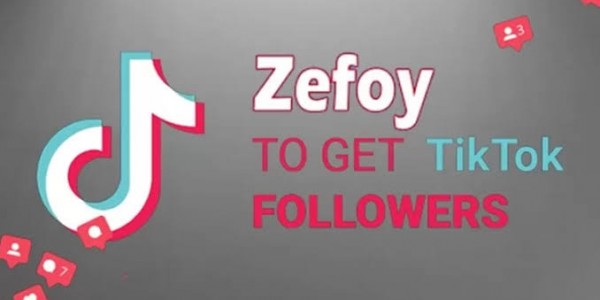 Cara Menggunakan Zefoy Penambah Follower IG Tiktok