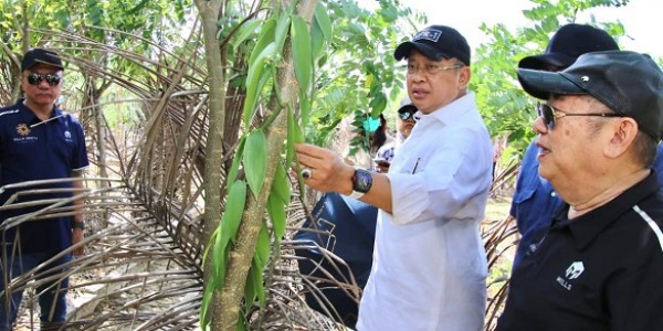 Ketua MPR RI Dukung Pembangunan Perkebunan dan Pembibitan Vanili Terbesar Dunia di Tanjung Lesung
