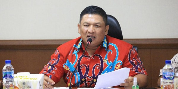 Senator DPD RI Fernando Sinaga Tanggapi Temuan BPK Soal BLT Dana Desa  