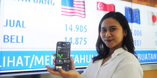 Raih Peringkat Tertinggi PEFINDO, BTN Dinilai Miliki Kemampuan Superior