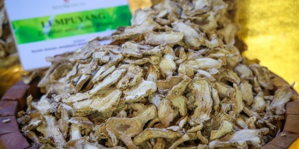 Dukung Petani Herbal dan UMKM, Kemenkop Gandeng Sido Muncul 