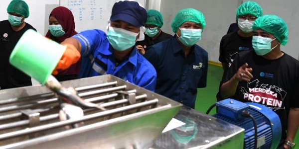 Teten Launching Susu Ikan Pertama di Indonesia Hasil Kemitraan Koperasi dan UKM