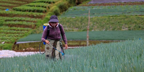 Kemenkop Turut Perkuat Digitalisasi dan Hilirisasi Koperasi Pertanian di ASEAN