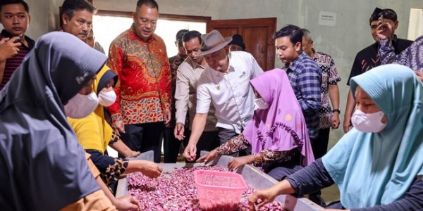 Teten: Hilirasi Bawang Merah Jadi Solusi Jitu Tingkatkan Kesejahteraan Petani Brebes