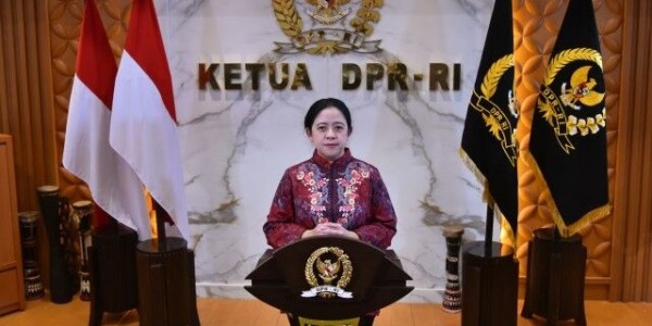 Puan Minta Pemerintah Masif Sosialisasikan Bahaya DBD