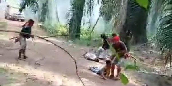 Partai Buruh Minta Usut Bentrokan di Seruyan, Kembalikan Hak Atas Tanah kepada Rakyat