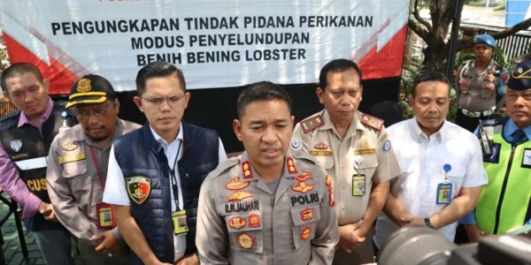 Polresta Bandara Soetta Gagalkan Penyelundupan Benih Bening Lobster Senilai Rp 11 Miliar