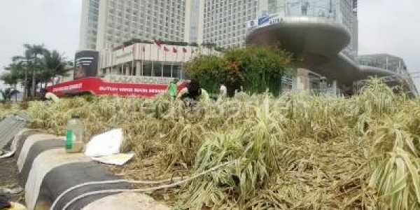 Distamhut DKI Perbaiki Tanaman yang Rusak Usai Perayaan Malam Tahun Baru