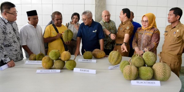 Kemenkop-APDURIN Kolaborasi Kembangkan Ekspor Durian Parigi Moutong