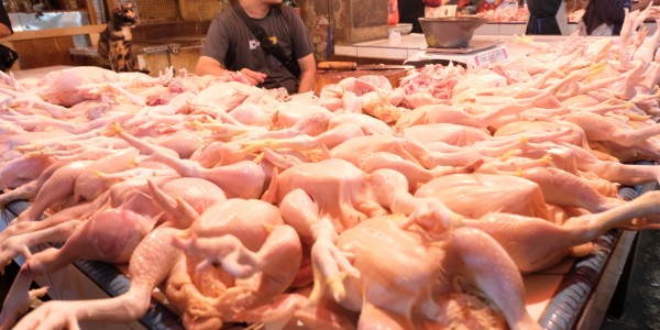 Jelang Lebaran, Kementan Pastikan Stok Pangan Asal Ternak Aman