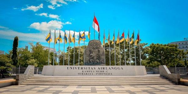 Peringkat Dunia Naik di Posisi 308 Versi QS WUR, Perkembangan UNAIR Paling Pesat di Asia