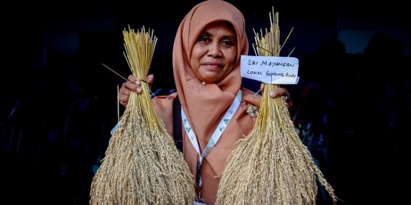 Resmikan Rice Mill Plant, Teten Dukung Konsolidasi Pengelolaan Hasil Pertanian