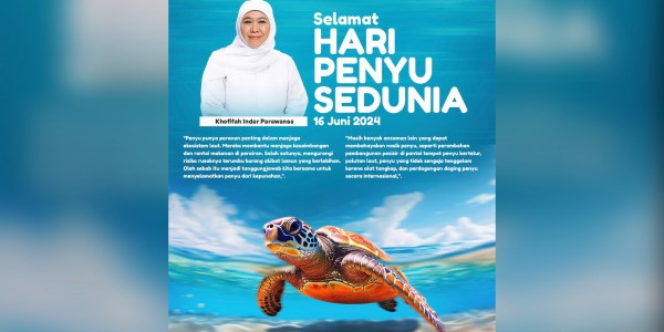 Hari Penyu Sedunia, Khofifah Ajak Masyarakat Selamatkan Penyu dari Ancaman Kepunahan