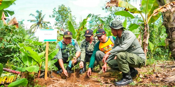 Wujudkan Kepedulian Lingkungan, PLN Gelar Aksi Tanam Ribuan Pohon di Banyuwangi dan Sumenep