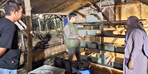 Manfaatkan IoT dalam Budi Daya Maggot, Mahasiswa UNAIR Lolos Pendanaan P2MW