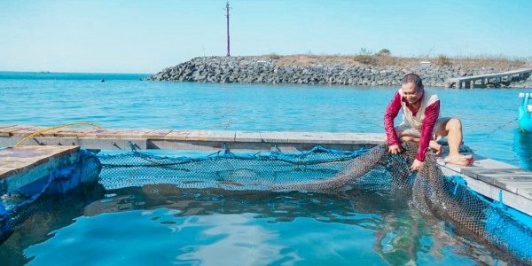 Rambah Budi Daya Ikan dan Lobster, PLN Fasilitasi Rumah Apung bagi Warga Kampung Mandar