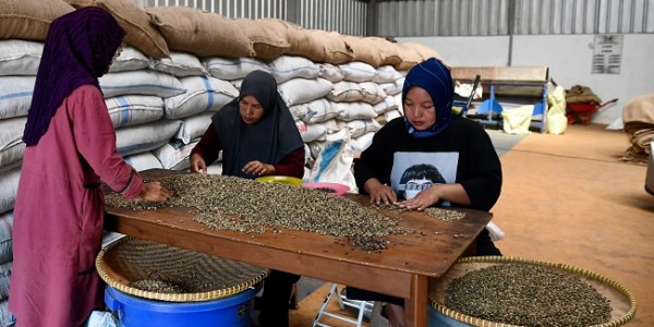 Punya Potensi Besar, Akses Permodalan Koperasi Produsen Bakal Terus Diperluas