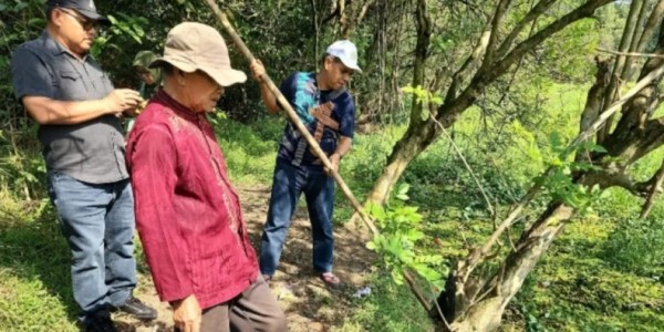 Kementan Lakukan Panen Raya Saat Bunex 2024