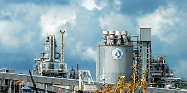 Hari Pangan Sedunia,  PT Pupuk Kaltim Siapkan 286.771 Ton Pupuk Subsidi
