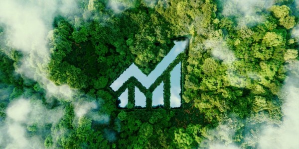 Kepabeanan Harus Hijau! Melirik US, Green Trade Strategy Menjadi Buah Pikiran?