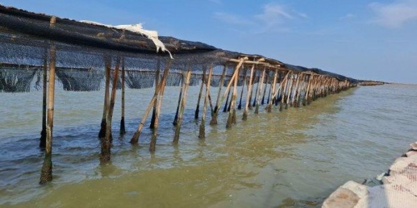 MITI: Klaim JRIN soal Pagar Laut Pemecah Ombak, Sangat Memalukan
