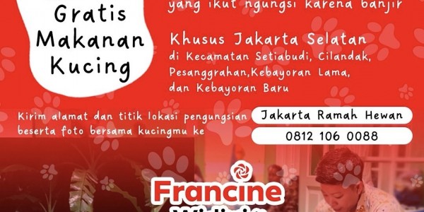 Bukan Cuma Manusia, PSI Juga Bantu Kucing Korban Banjir