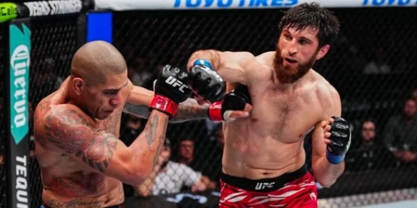 Magomed Ankalaev Raih Gelar Juara Kelas Berat Ringan UFC Usai Kalahkan Alex Pereira di UFC 313
