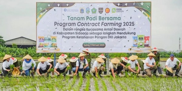 Pemprov DKI Jakarta Perkuat Ketahanan Pangan: Antisipasi Dampak Banjir dan Jaminan Pasokan Beras
