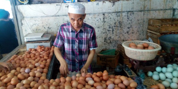 Asosiasi dan Peternak Apresiasi Langkah Kementan Stabilkan Harga Telur