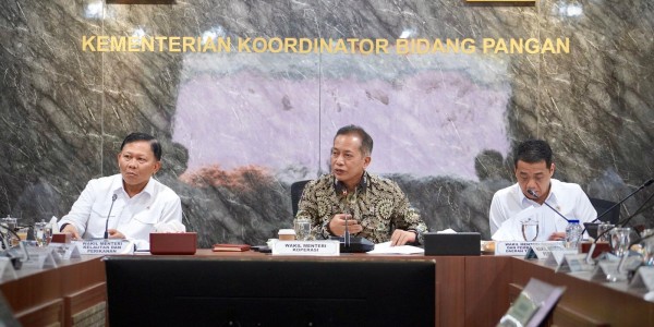 Satgas Terus Perkuat Sosialisasi Tata Cara Pembentukan Kopdes Merah Putih ke Daerah