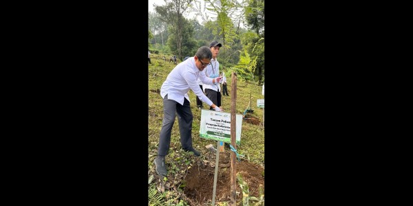 Gaungkan Gerakan Penghijauan di Kawasan Puncak Bogor, BAKN DPR RI Tanam Sejuta Pohon