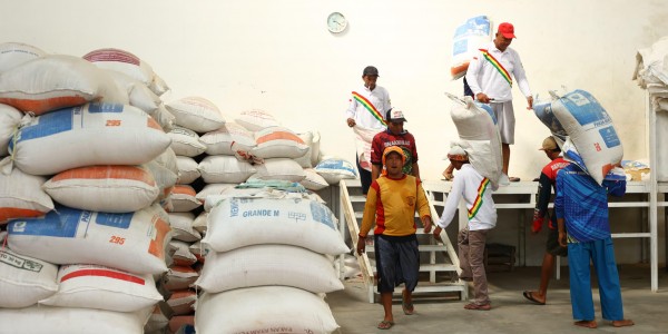 Tabur Benih Melati Buktikan Peran Strategis Koperasi dalam Produksi- Distribusi Benih Nasional