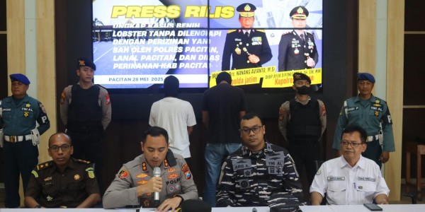 Polres Pacitan Lepas Bebaskan Puluhan Ribu Benih Lobster Usai Ungkap Kasus Penyelundupan Benur Ilegal