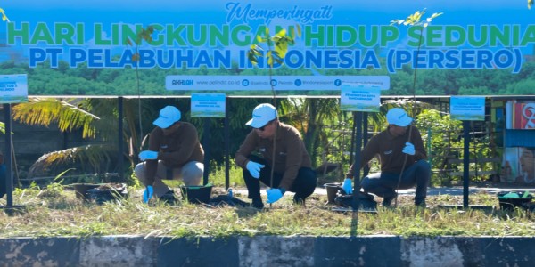 Peringati Hari Lingkungan Hidup, Pelindo Regional 3 Sub Regional Kalimantan Tanam 5000 Pohon Mahoni