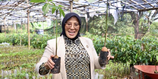 Siqom: Aset Pertanian Harus Jadi Penggerak Kesejahteraan Petani Lokal