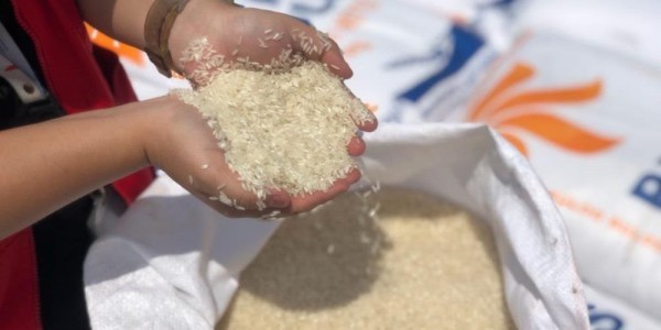Pemerintah Diminta Waspada akan Ancaman Kenaikan Harga Beras