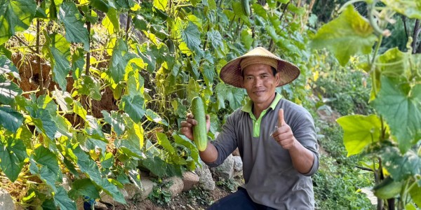 Grand Whiz Hotel Trawas Kembangkan Kebun Organik, Dorong Gaya Hidup Sehat dan Edukatif