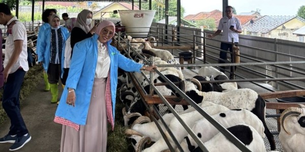 Siti Qomariyah Dorong Pemerataan Bantuan Bibit Ternak bagi Kelompok Ternak di Jabar