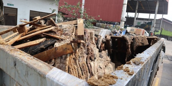 Barantin Musnahkan 129 Ton Kulit Impor Positif PMK dan LSD