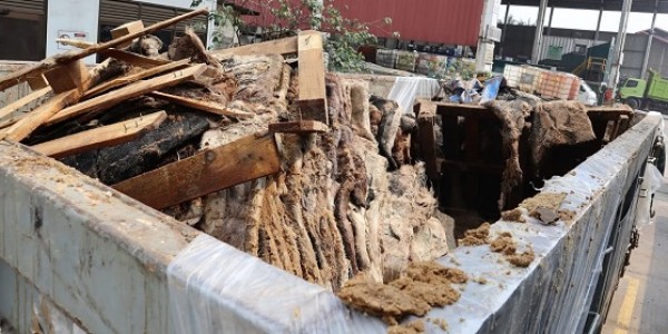 Barantin Musnahkan 129 Ton Kulit Impor Positif PMK dan LSD