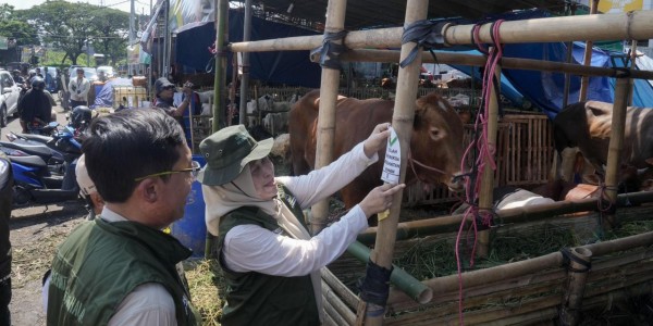 Kolaborasi Pelindo Petikemas dan Pemkot Surabaya Pastikan Hewan Kurban Aman untuk Masyarakat Jelang Idul Adha 1447 H